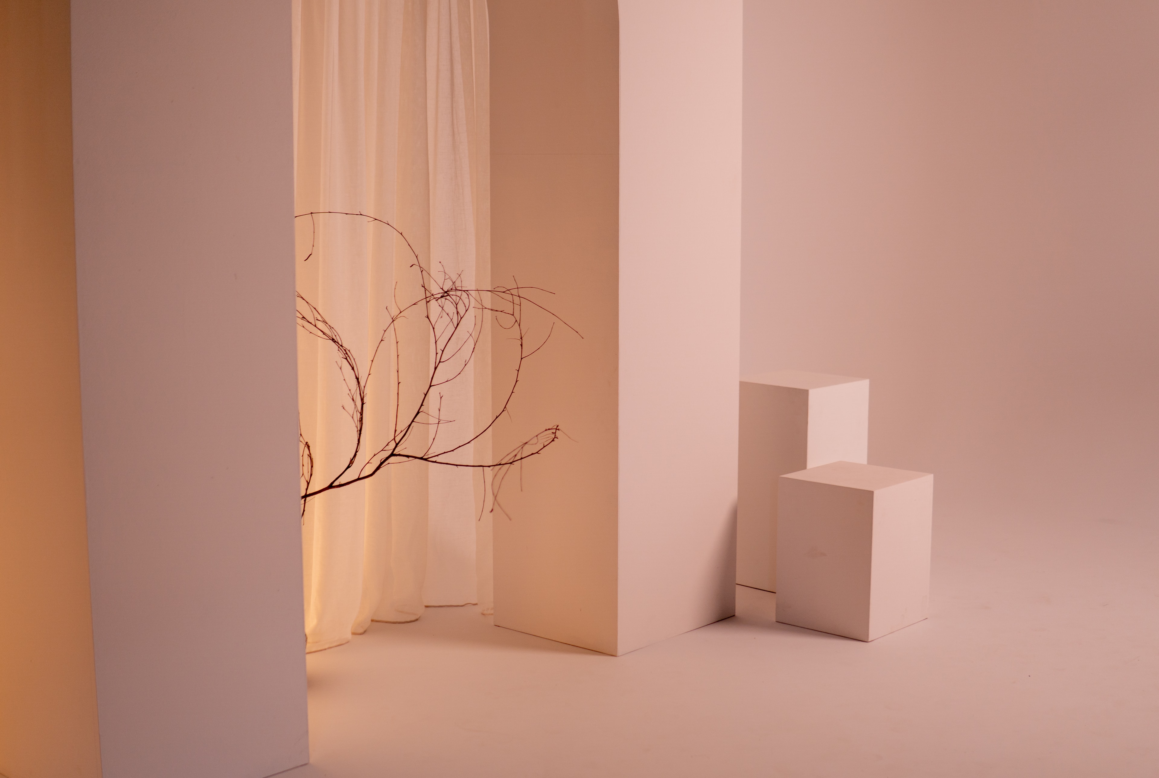 DSC05847